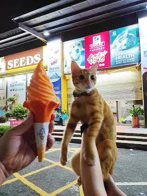 好主人寵物台中元老店
