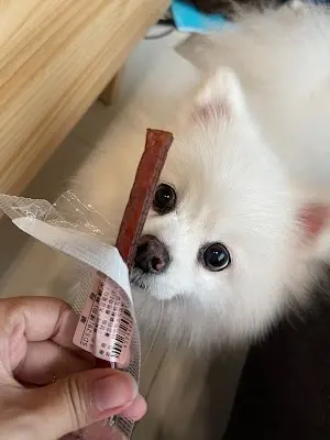犬貓部屋寵物沙龍