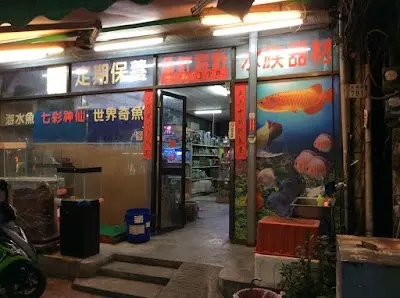 上洋水族設計