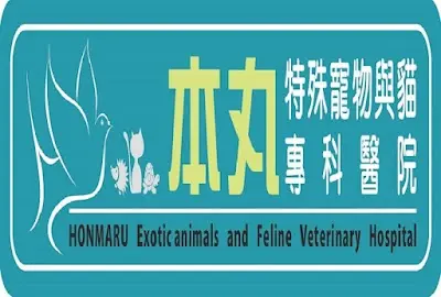本丸特殊寵物與貓專科醫院