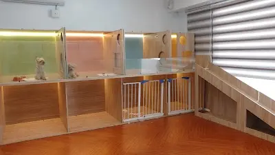 LIKE 寵物旅館