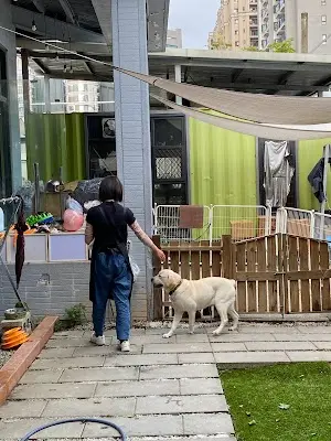 汪喵の旅 寵物旅館