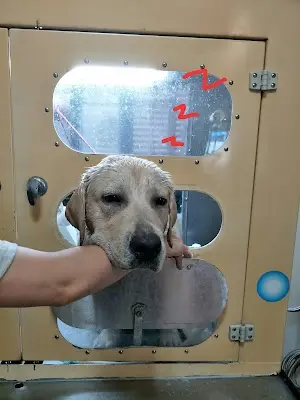 寵沐寵物美容生活館