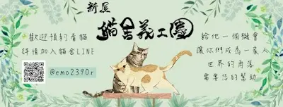 桃園市推廣動物保護協會市區貓隻認養中心