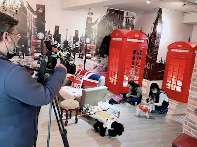 英倫王子悠閒時光寵物旅館