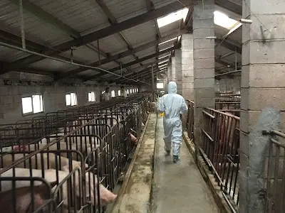 澎湖縣家畜疾病防治所