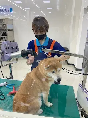 東森寵物 苗栗縣府店