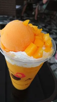 敦頂寵物生活館