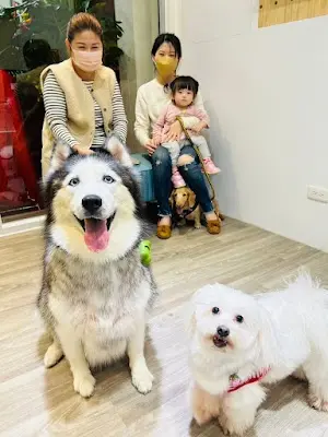 艾米樂寵物美學精品貓旅館