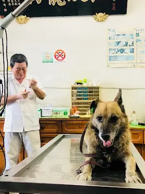 英仁動物醫院