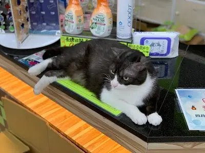 貓狗大棧寵物百貨-彰化金馬店