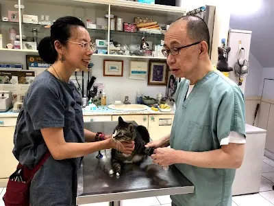 可安動物醫院