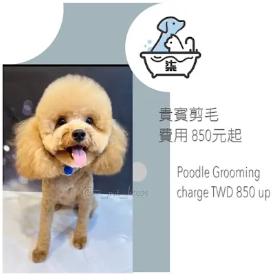 柒柒寵物澡堂