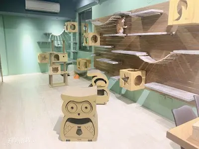 遇見貓寵物旅館
