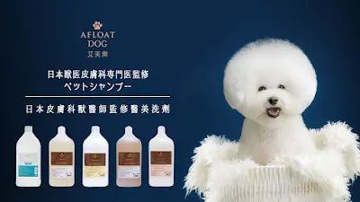 毛尾巴寵物美容