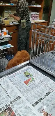 佑青動物醫院