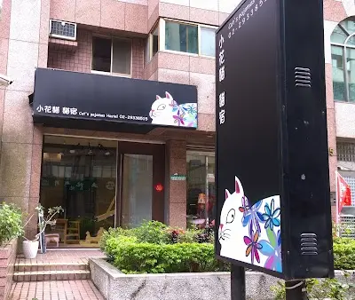 小花貓 貓宿 貓咪住宿 貓咪旅館 寵物旅館
