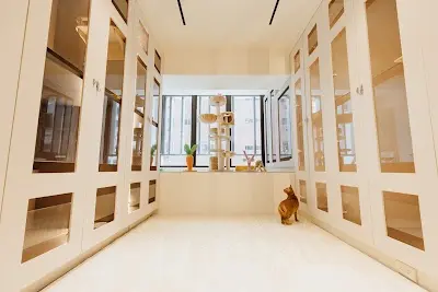 呼嚕俱樂部 HULU CLUB/台中貓旅館/台中貓住宿/台中寵物旅館/寵物用品/貓舍
