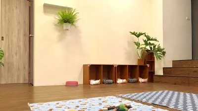 金狗錐狗狗寵物旅館（預約制）小型犬安親住宿、狗狗美容