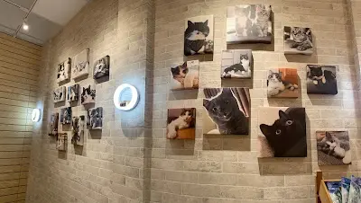 以為有貓eWayCats貓旅館•寵物用品