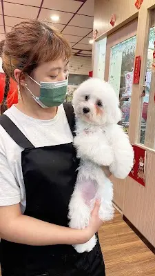 史奴比寵物美容-新榮店 |寵物沙龍|優質犬貓|