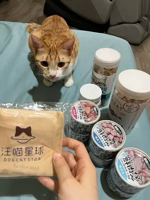 毛掌櫃Maoookeeper（寵物店）- 潮州門市
