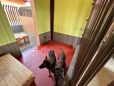 屏東縣動物之家（毛小孩樂園）前隘寮戰俘營