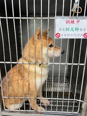 台北市動物之家