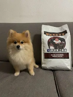 阿培育犬育喵