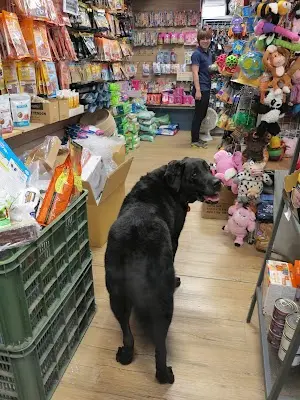 米克斯寵物精品