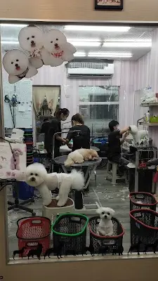 蘿莎精緻寵物美容 中清店（台中北屯北區西屯區西區寵物美容推薦｜附設寵物美容｜寵物剪毛｜寵物洗澡｜寵物住宿｜24小時保母照顧｜）