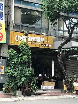 小新動物醫院