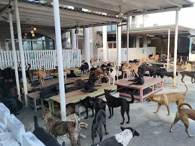 徐文良(徐園長護生園)