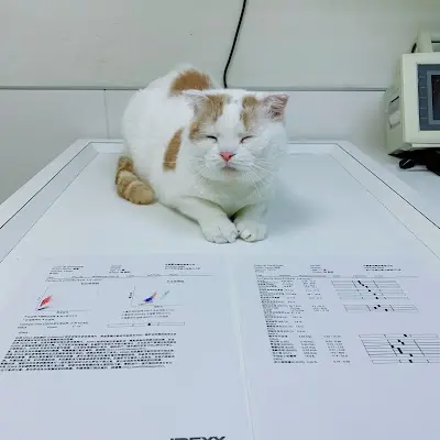 全國動物醫院 精業分院