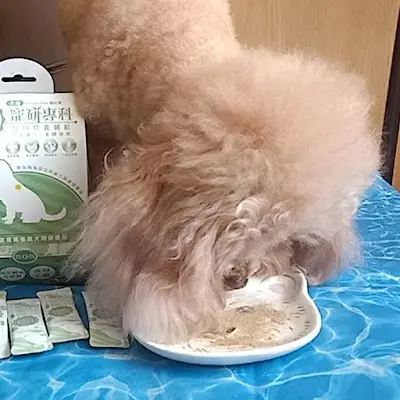 寵物夢工廠 總倉-非賣場