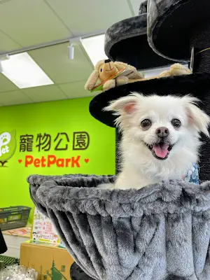 寵物公園(苗栗竹南)