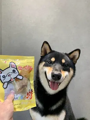 新大發寵物百貨