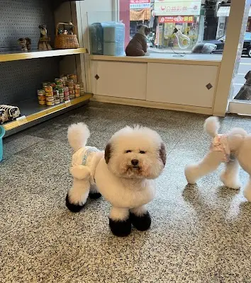 上綺愛犬美容