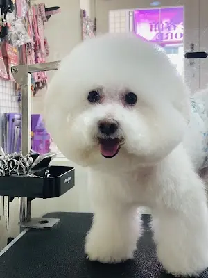 樂沐寵物美容館