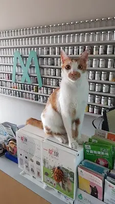 名倫動物醫院