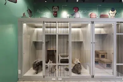 Pawpal 抱抱貓旅館
