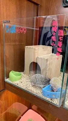 魚中魚貓狗水族大賣場-中和店