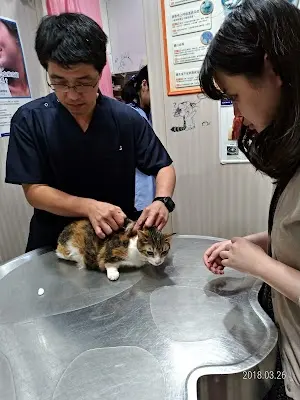 陽光動物醫院