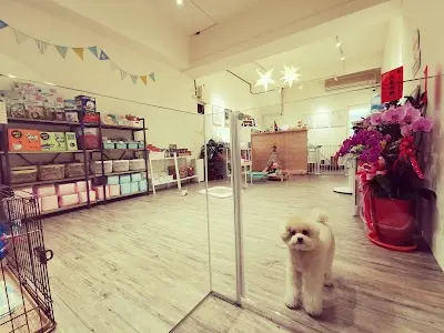 小花朵寵物美容旅館《推薦寵物美容店》台南寵物皮膚調理｜住宿安親｜寄宿服務 ｜沐浴SPA｜專業貓咪洗澡｜耳道護理