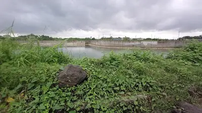徐春水狗園