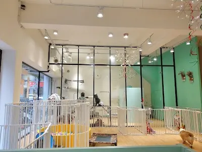 三毛寵物旅館/三毛寵物美容/貓咪住宿/狗狗美容/狗狗洗澡