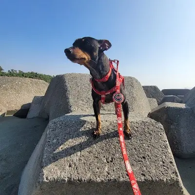 永欣動物醫院