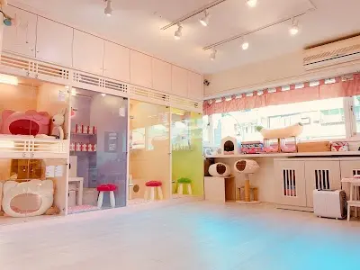 喵喵屋貓咪旅館