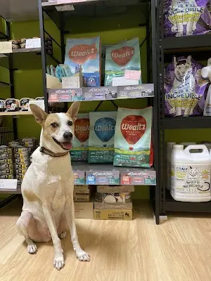 傑克與魔豆寵物用品店（寵物罐頭、飼料、零食、用品）