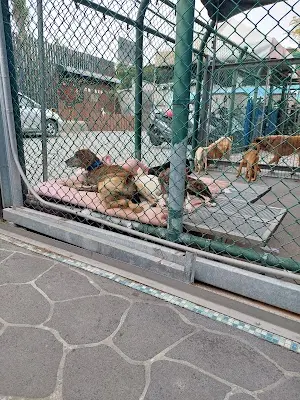 南投動物收容所